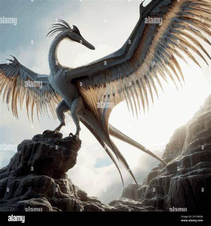 Unveiling Pedro Pascal's Stature: Insights And Discoveries