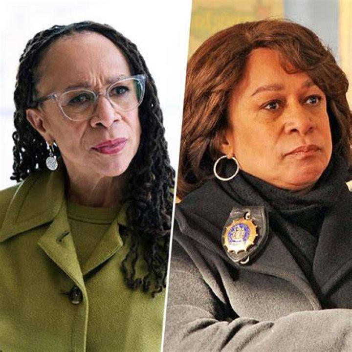 Unveiling The Heart Of S. Epatha Merkerson's Family: Love, Adoption, And Inspiration