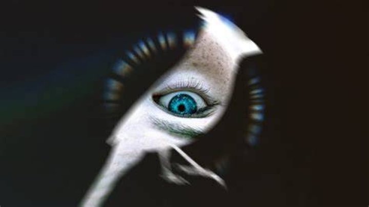 Unveiling The Hidden Charms Of Joy Tilk: Discoveries And Insights