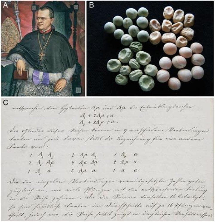 Unveiling The Legacy Of Everett Beverley: Discoveries And Insights