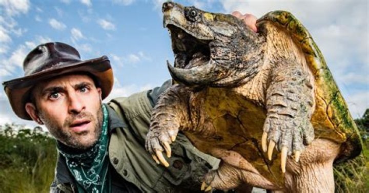 Unveiling the Multifaceted Role of Coyote Peterson's Wife: Discoveries and Insights