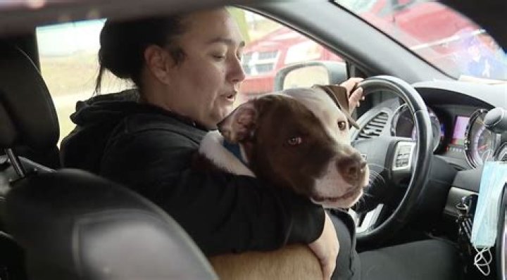 Unveiling Truths: Boy Arrested for Saving Dog