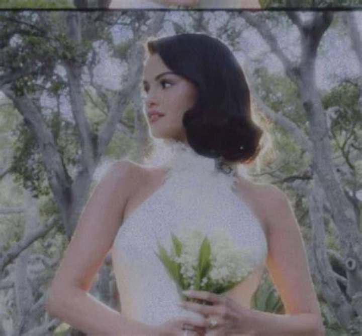 Vanessa Hudgens & Selena Gomez For Playboy? Magazine Seduces Young Starlets Hollywood Life ·