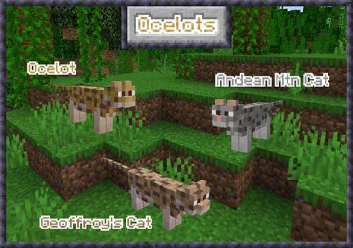 VBlogZ | Minecraft Ocelots