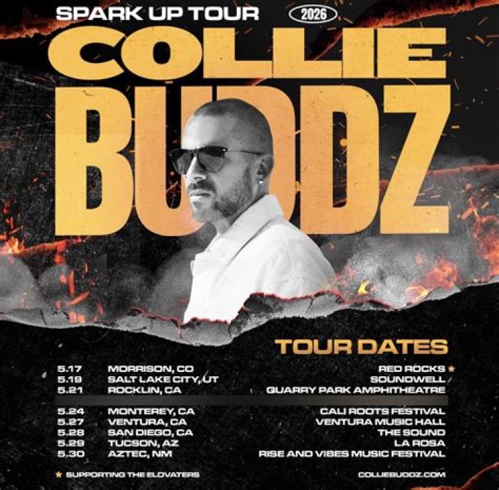 VibeJolt | Collie Buddz