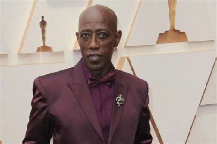 Wesley Snipes Health Rumors Debunked: Uncovering The Truth