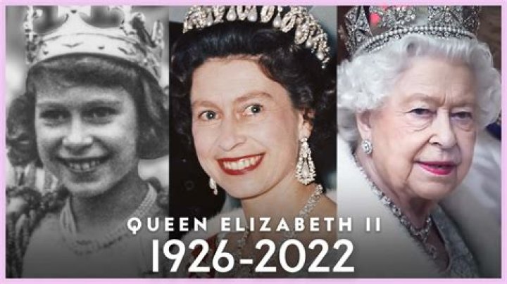 What Did She Do? Age & Wiki |