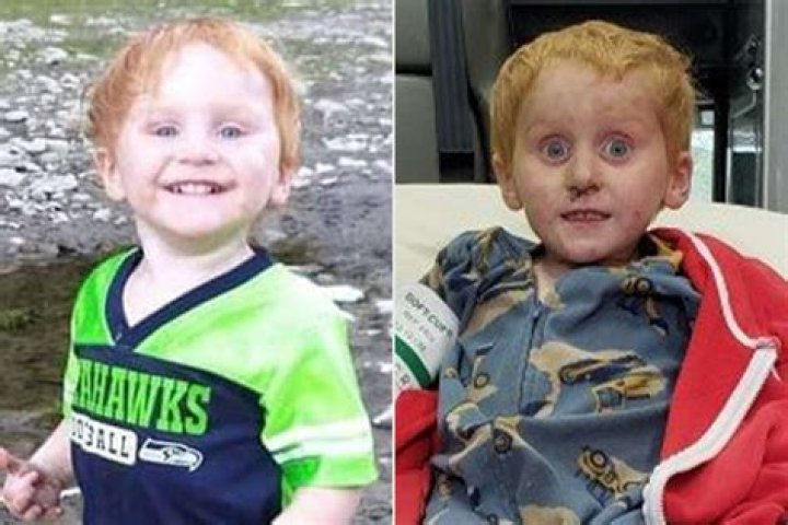 Where is Ryker Webb Now? Health Update and Story