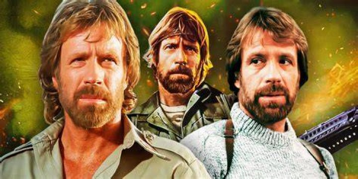 Who's Chuck Norris: Unravelling the Enigma