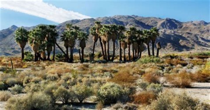 Who Is Louis Kimble From Twentynine Palms? Fatal Attraction Retells The Story Of California Murder |