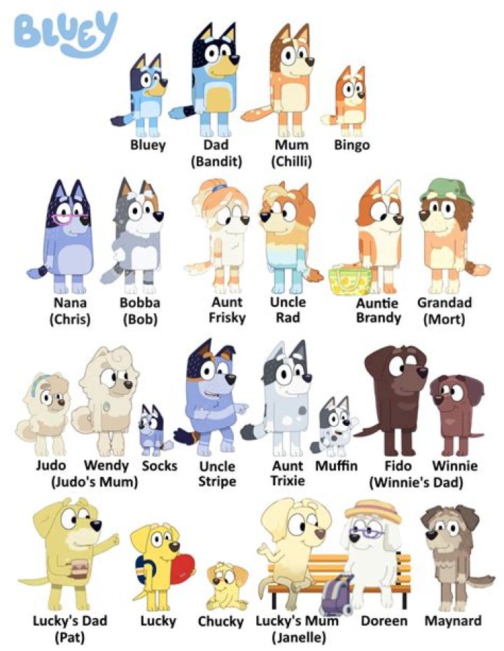 Who Voices Bluey's Dad? Discover the Talented Actor Behind the Character