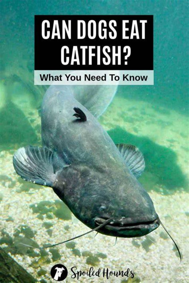 Why Did Kamie Leave Catfish? Unraveling The Reasons Behind Her Exit