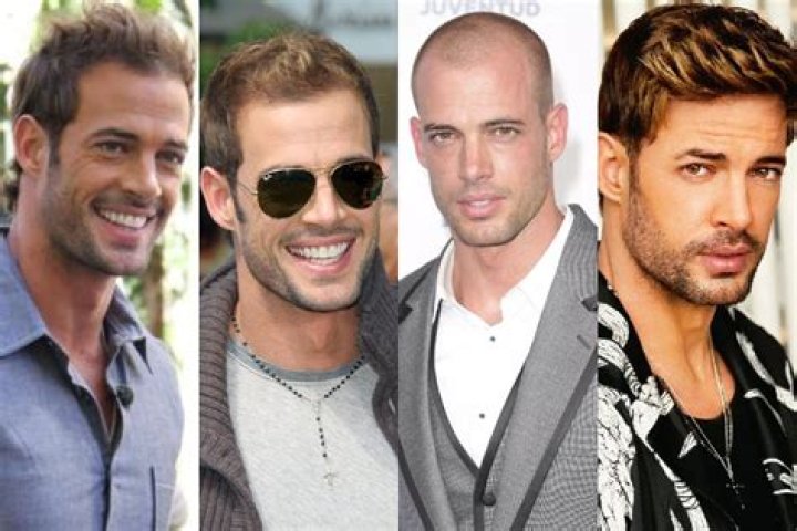 William Levy: A Comprehensive Look at His Life and Career