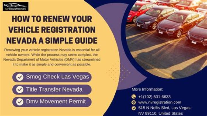 Your Guide To Vehicle Registration And Beyond!